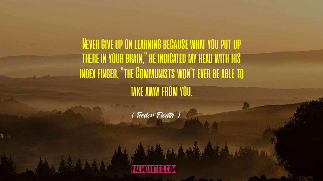 On Learning quotes by Teodor Flonta