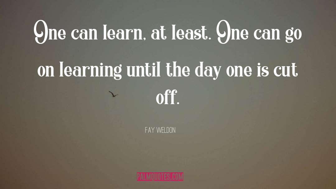 On Learning quotes by Fay Weldon