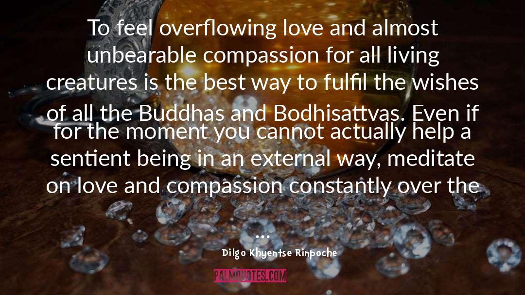 On Love quotes by Dilgo Khyentse Rinpoche