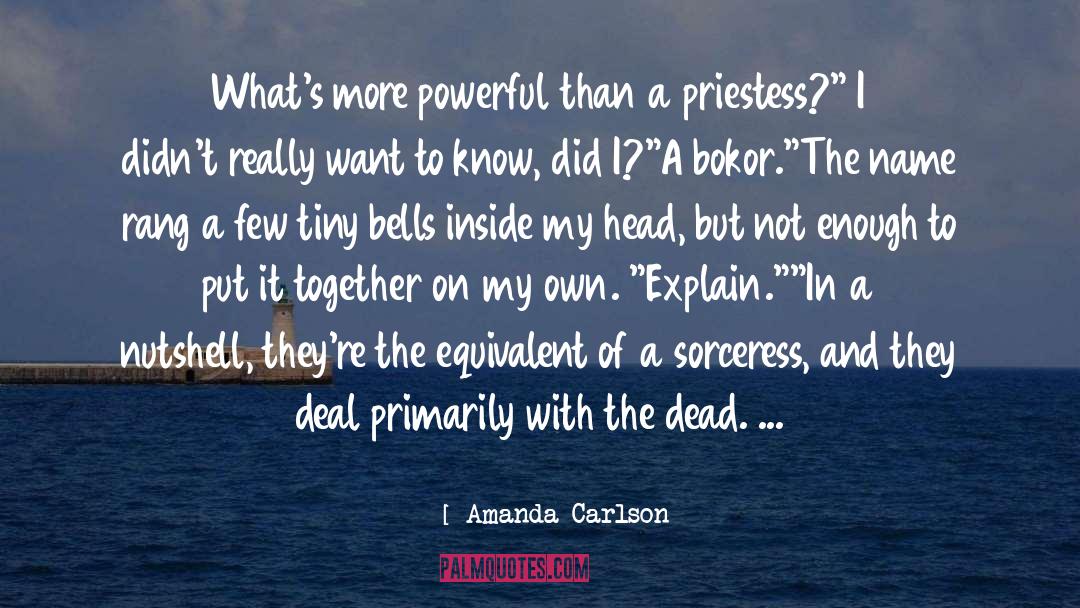 On My Own quotes by Amanda Carlson