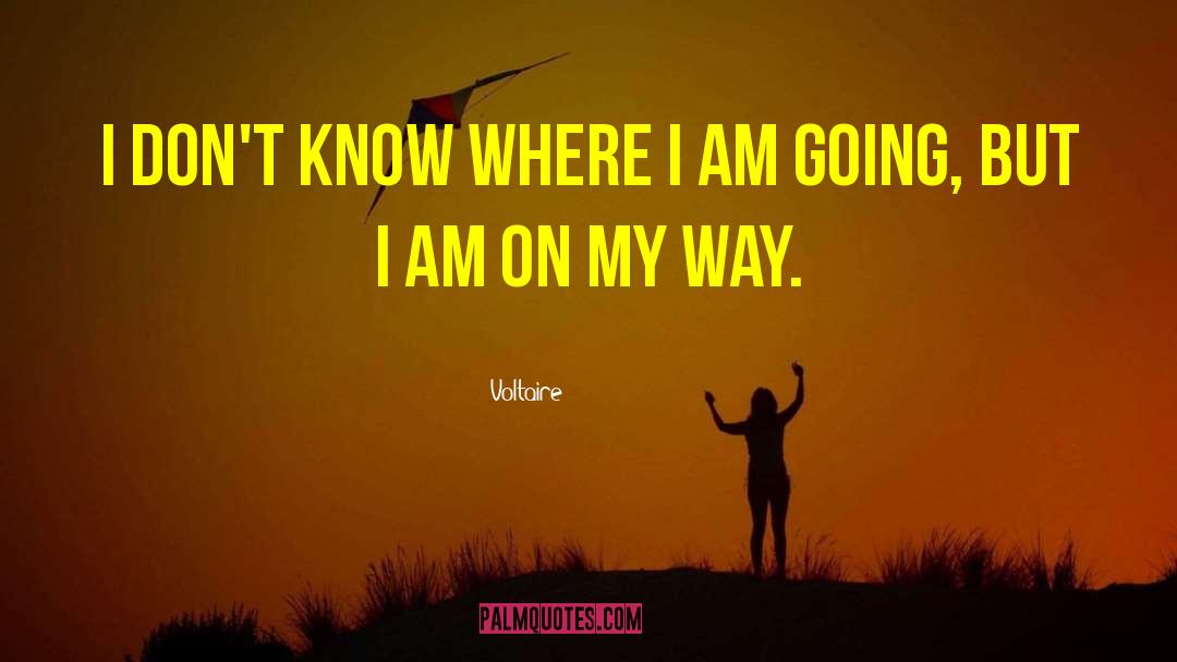 On My Way quotes by Voltaire