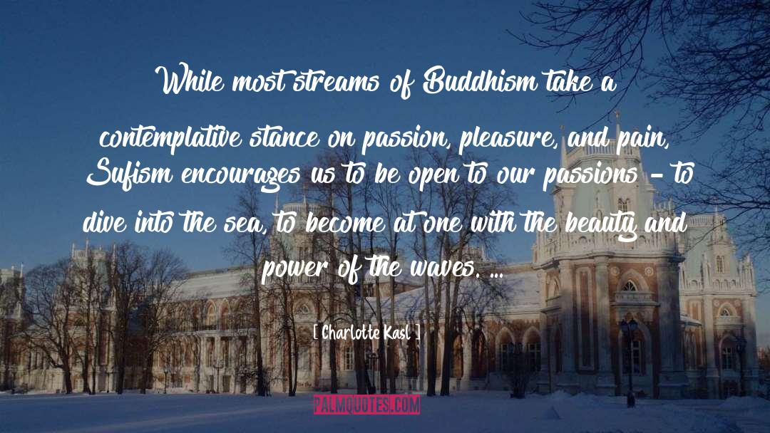 On Passion quotes by Charlotte Kasl