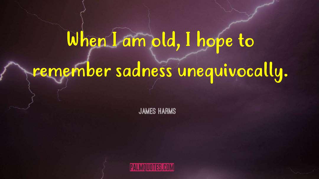 On Sadness quotes by James Harms