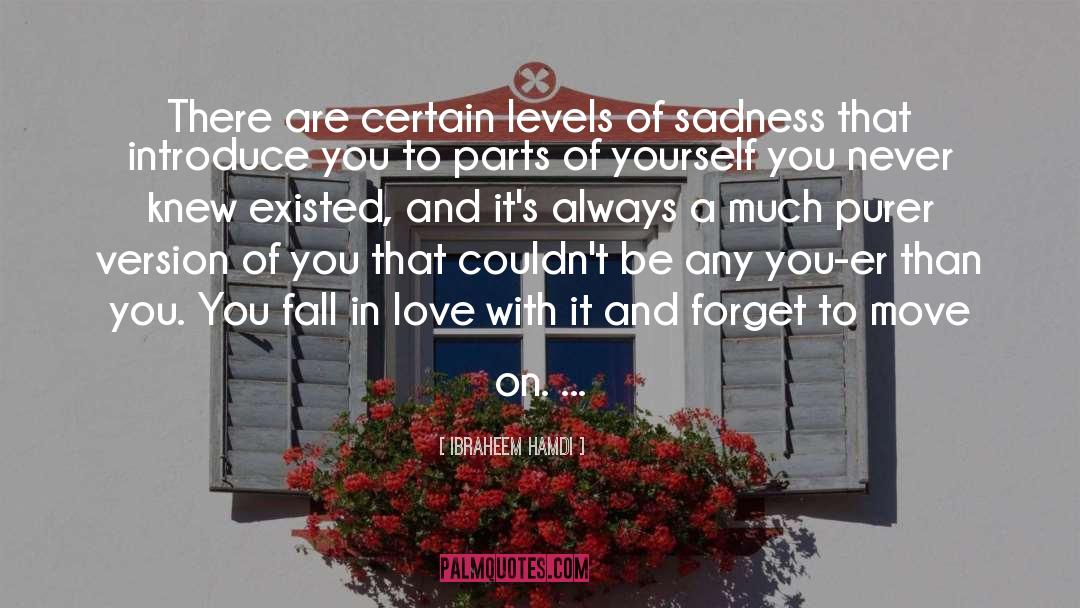 On Sadness quotes by Ibraheem Hamdi