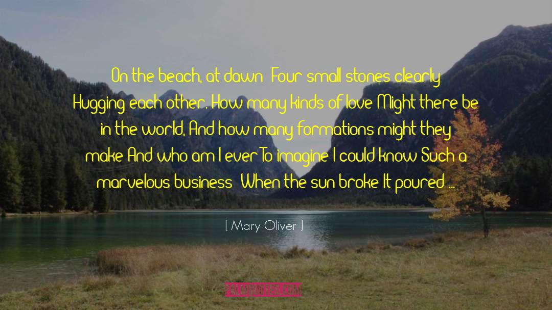 On The Beach quotes by Mary Oliver
