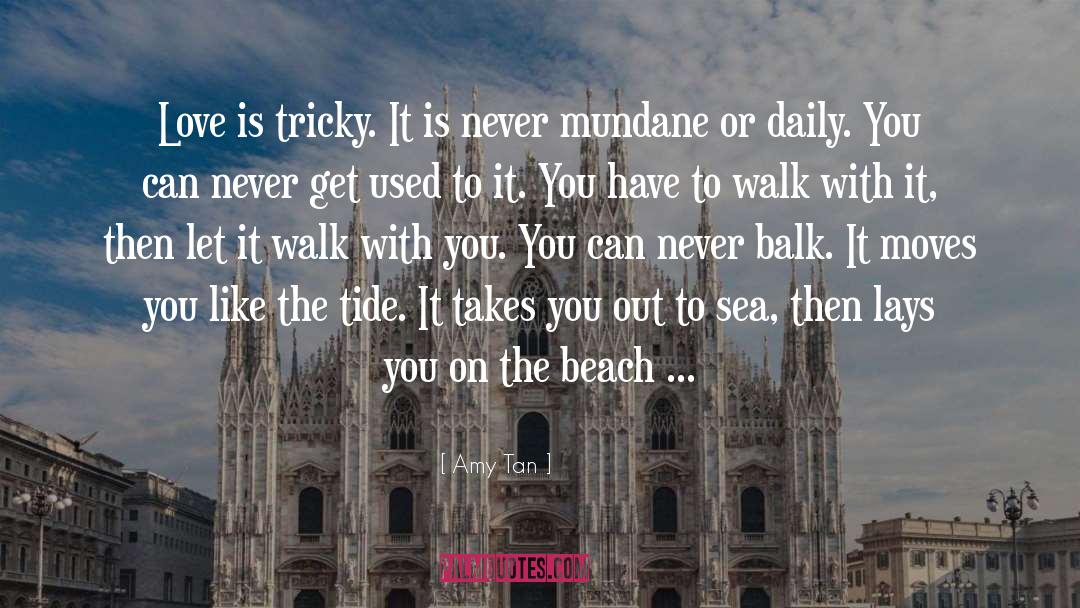 On The Beach quotes by Amy Tan