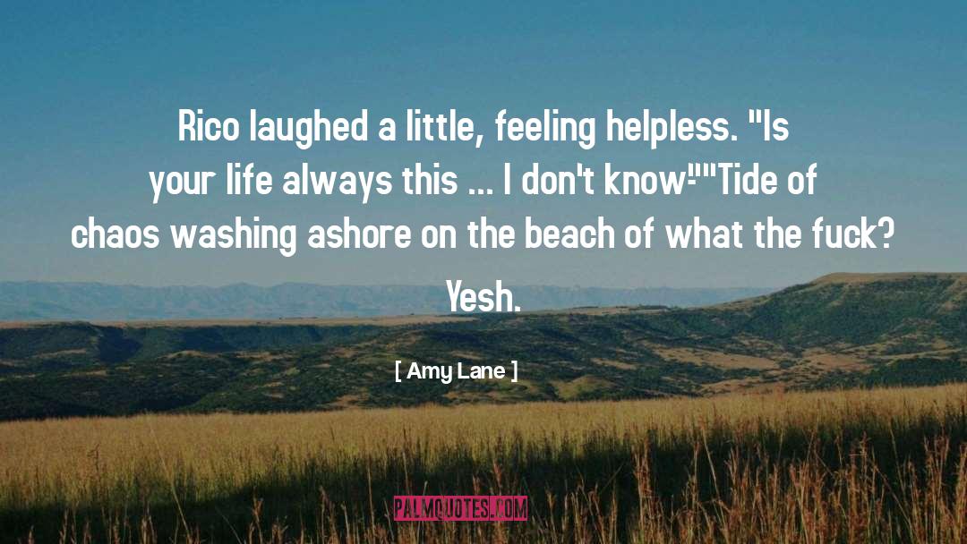 On The Beach quotes by Amy Lane