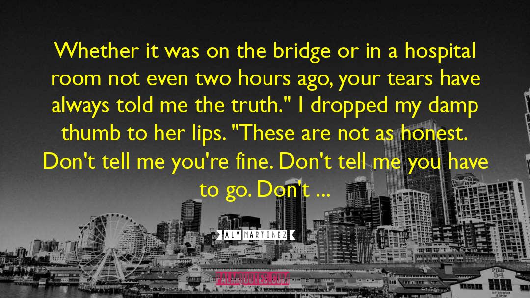 On The Bridge quotes by Aly Martinez