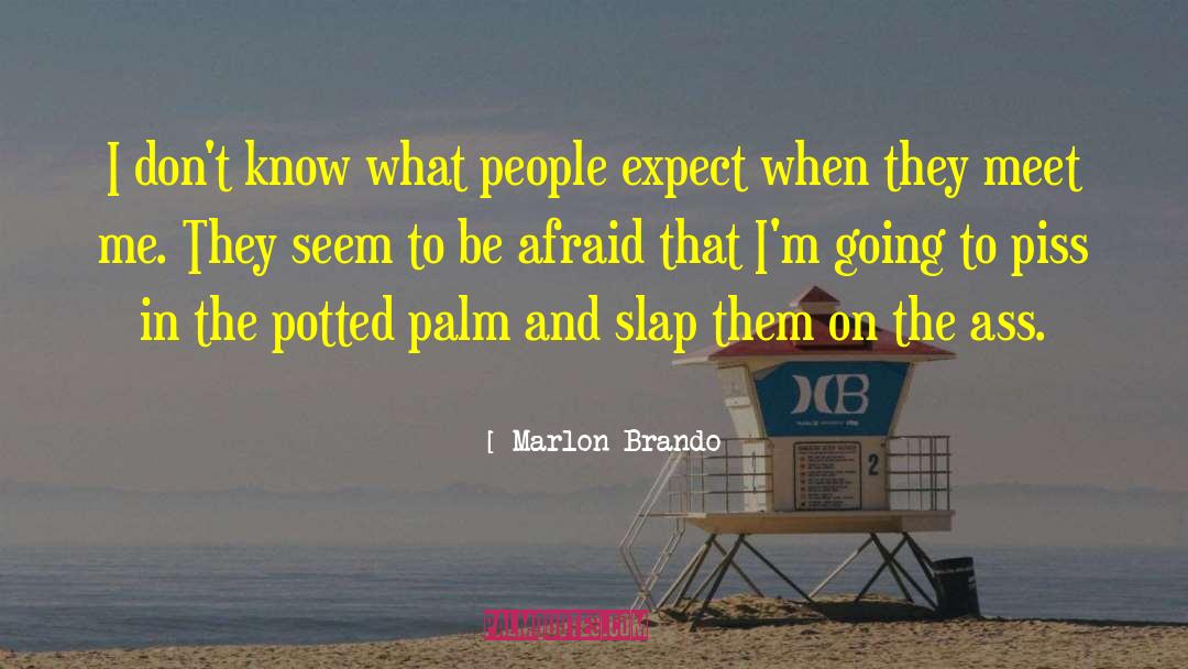 On The Fringe quotes by Marlon Brando
