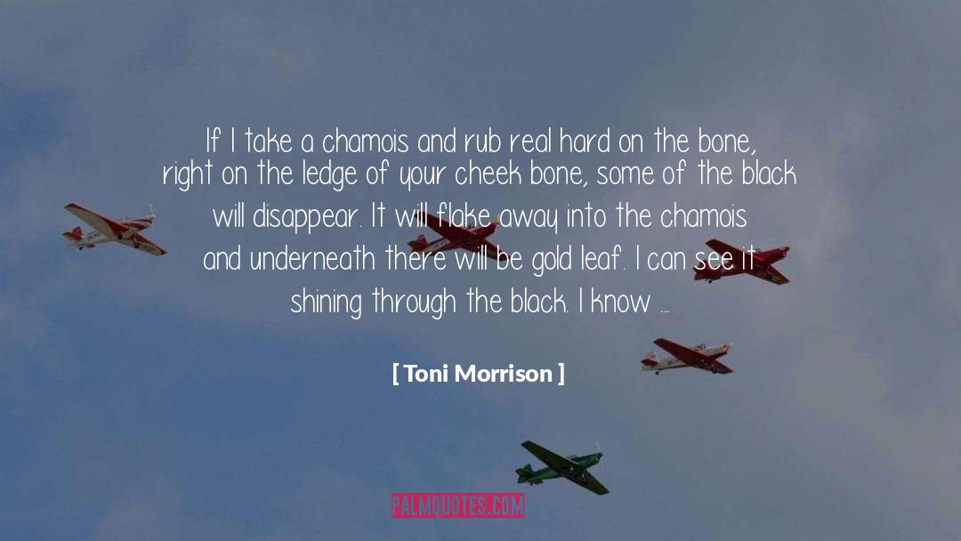 On The Ledge quotes by Toni Morrison