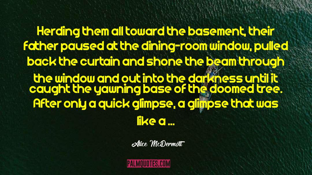 On The Nose quotes by Alice McDermott