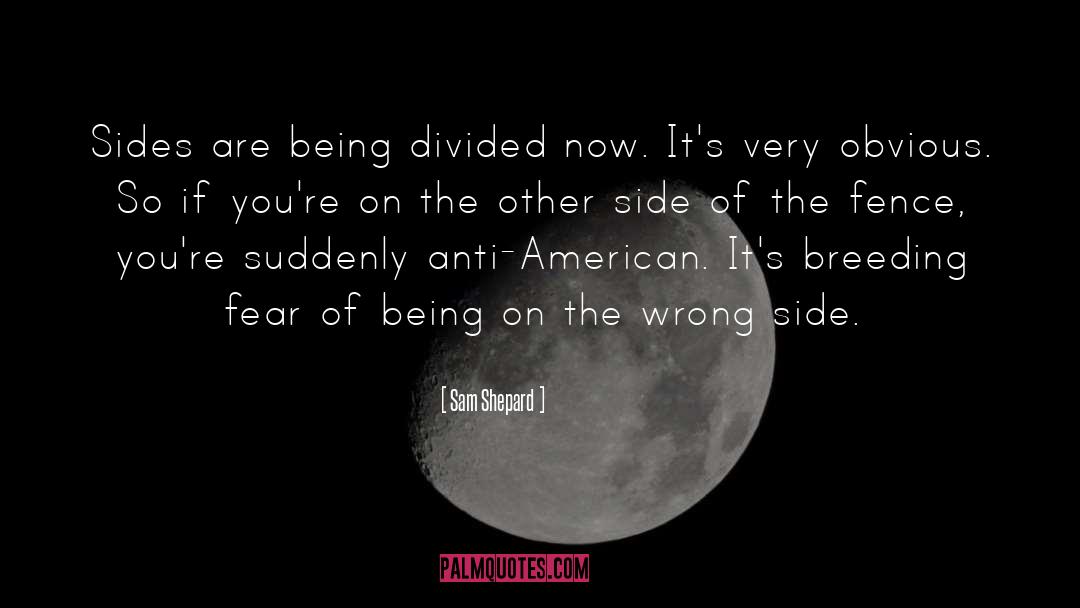 On The Other Side quotes by Sam Shepard