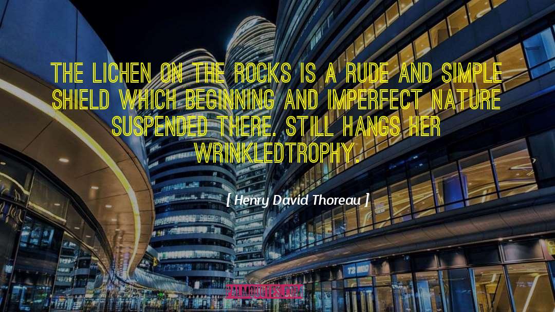 On The Rocks quotes by Henry David Thoreau