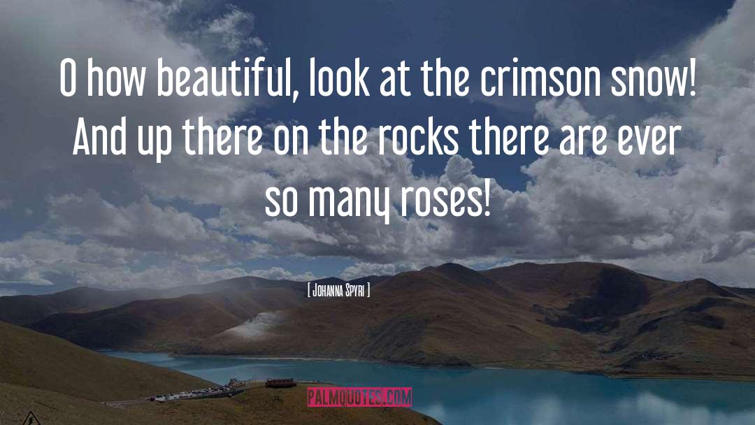 On The Rocks quotes by Johanna Spyri