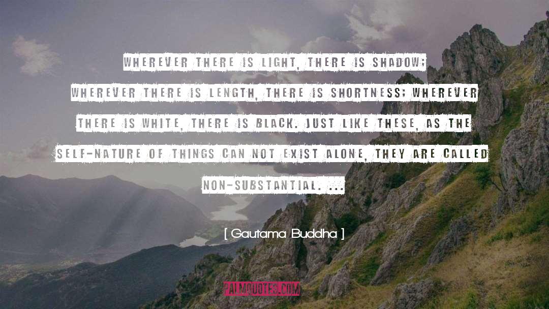 On The Shortness Of Life quotes by Gautama Buddha