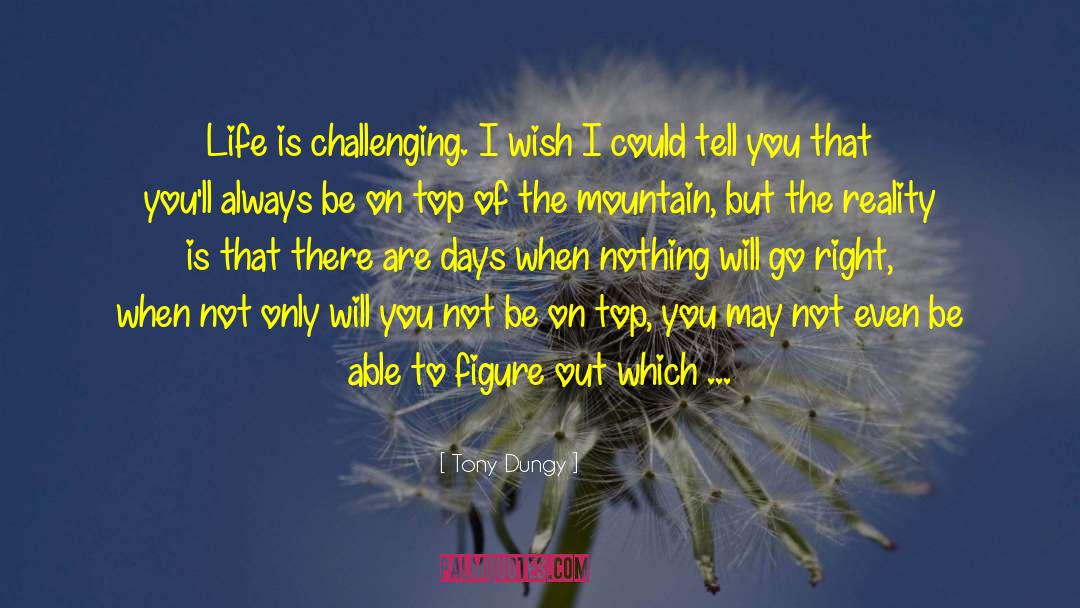 On The Top Of The Mountain quotes by Tony Dungy