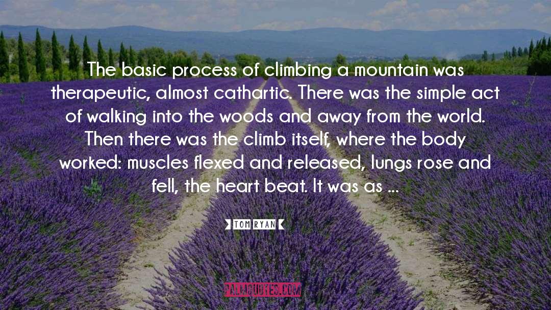 On The Top Of The Mountain quotes by Tom Ryan