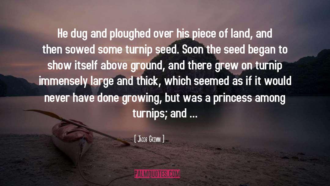 Once A Princess quotes by Jacob Grimm