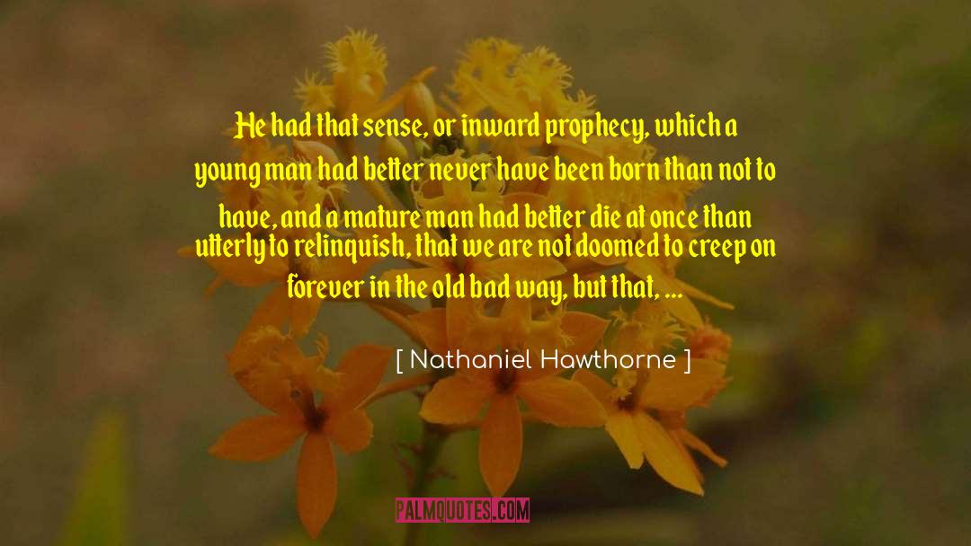 Once In A Lifetime Experiences quotes by Nathaniel Hawthorne