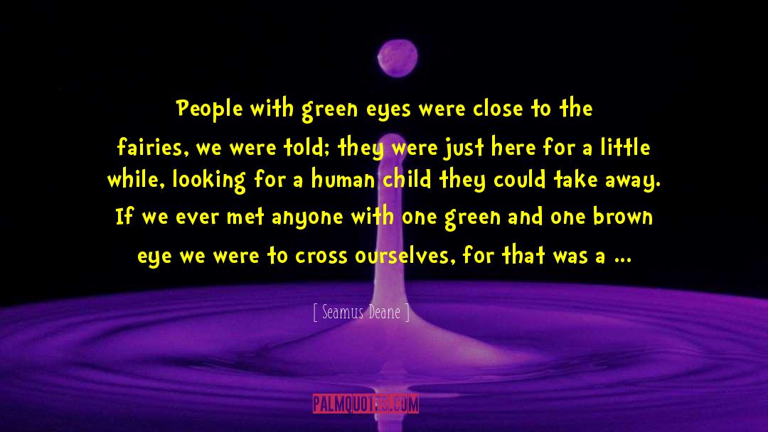 Once You Cross Me quotes by Seamus Deane