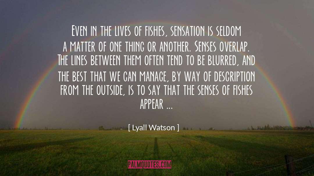 One At A Time quotes by Lyall Watson