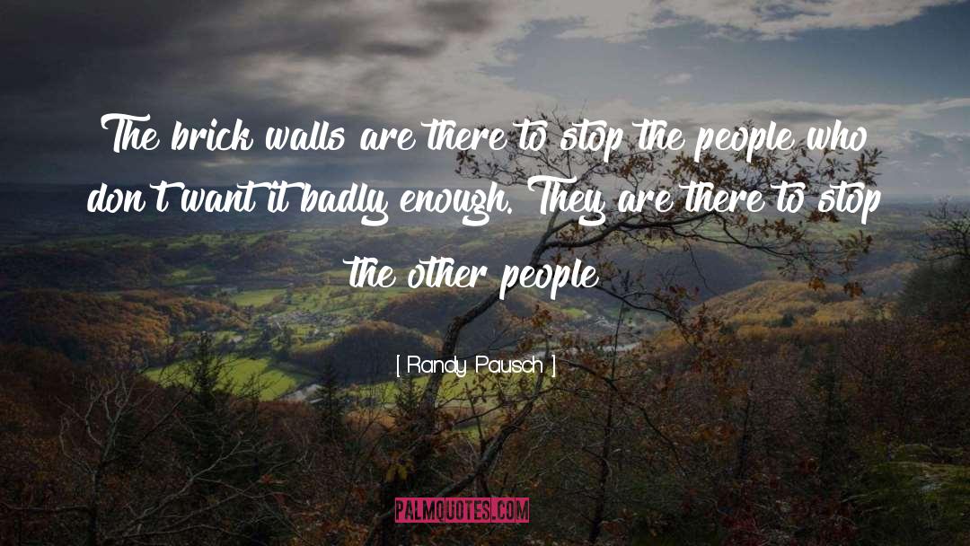 One Brick quotes by Randy Pausch