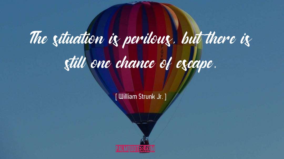 One Chance quotes by William Strunk Jr.