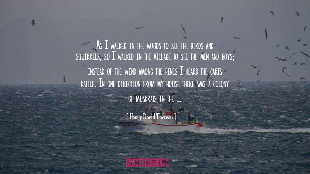 One Direction quotes by Henry David Thoreau