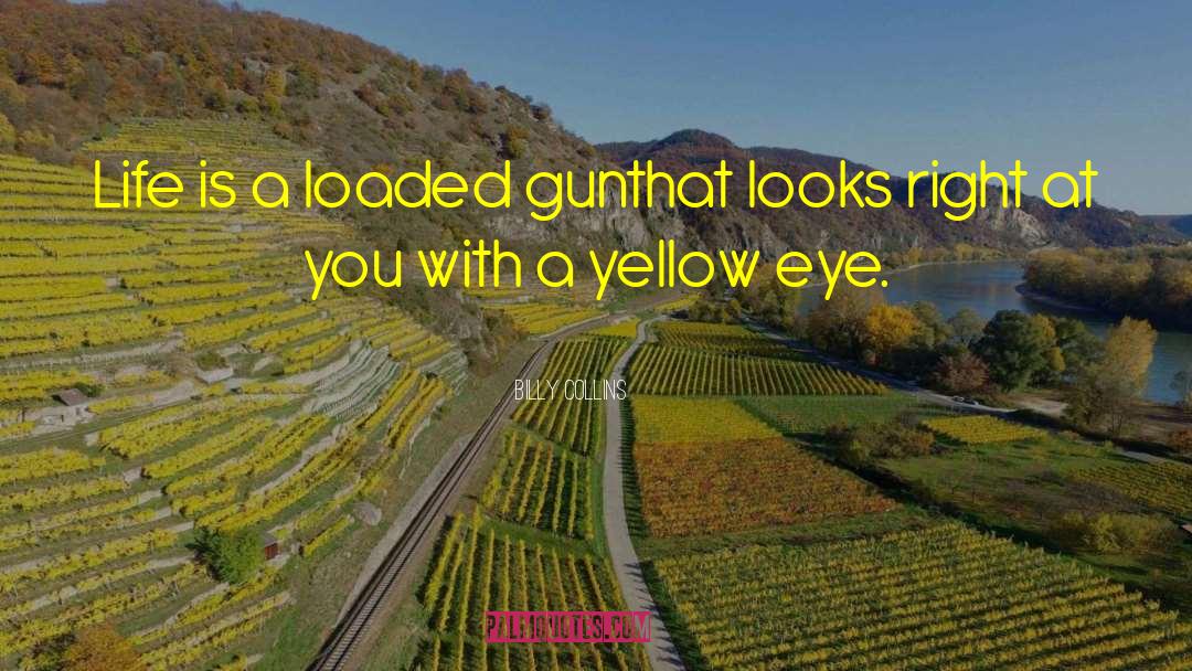 One Fearful Yellow Eye quotes by Billy Collins