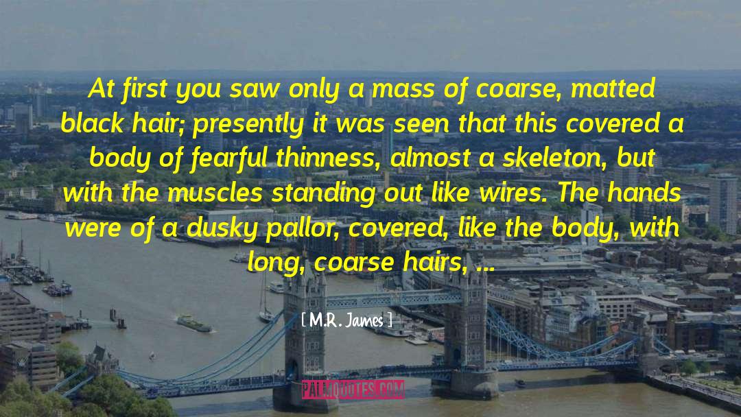 One Fearful Yellow Eye quotes by M.R. James