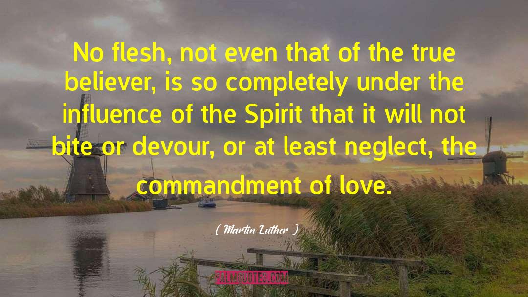 One Flesh quotes by Martin Luther