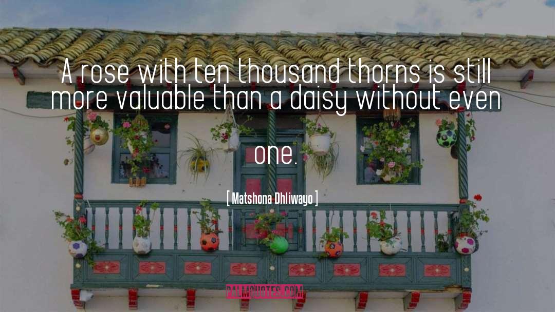 One Flower quotes by Matshona Dhliwayo
