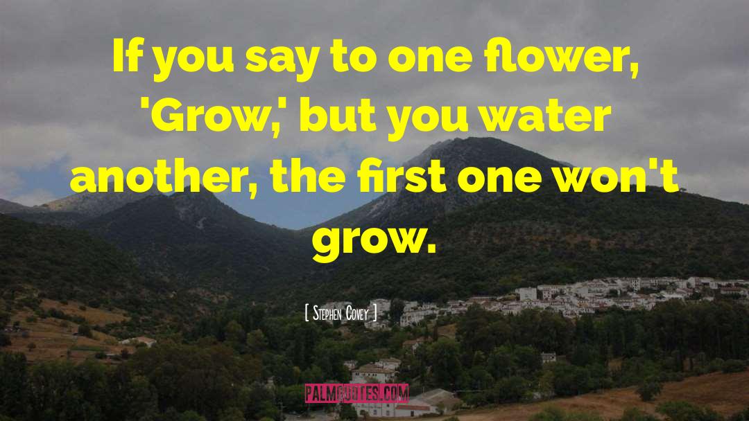 One Flower quotes by Stephen Covey