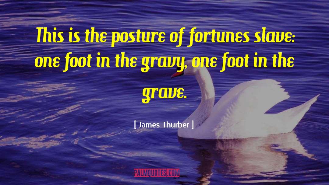 One Foot In The Grave quotes by James Thurber