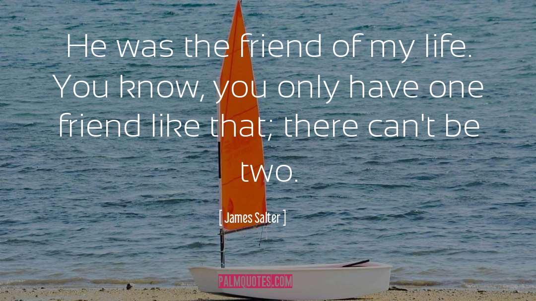 One Friend quotes by James Salter