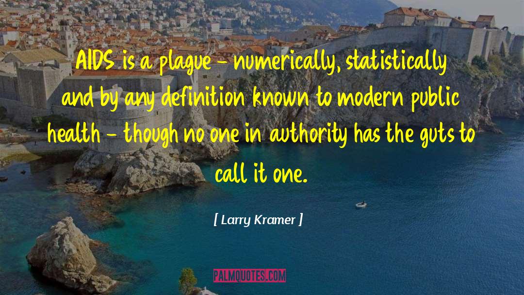 One In Authority quotes by Larry Kramer