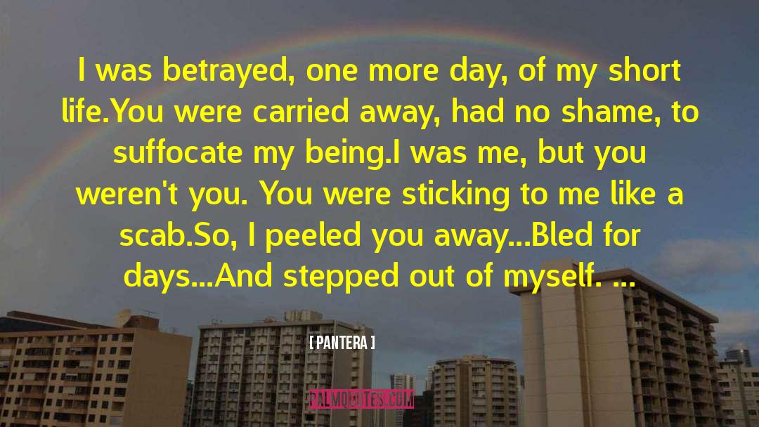 One More Day quotes by Pantera