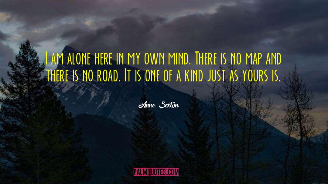 One Of A Kind quotes by Anne Sexton