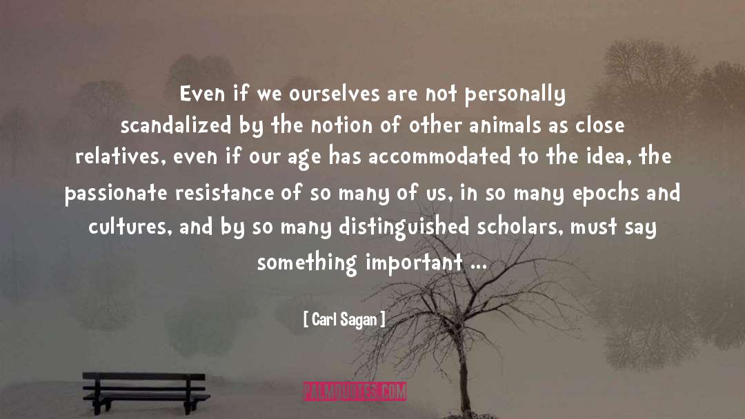 One Of Us Must Know quotes by Carl Sagan