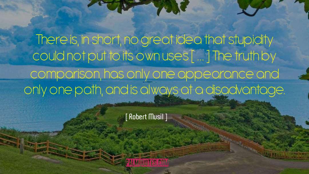 One Path quotes by Robert Musil