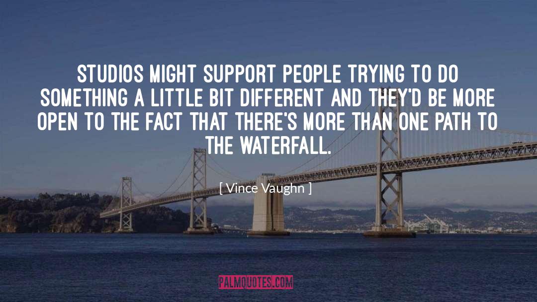 One Path quotes by Vince Vaughn