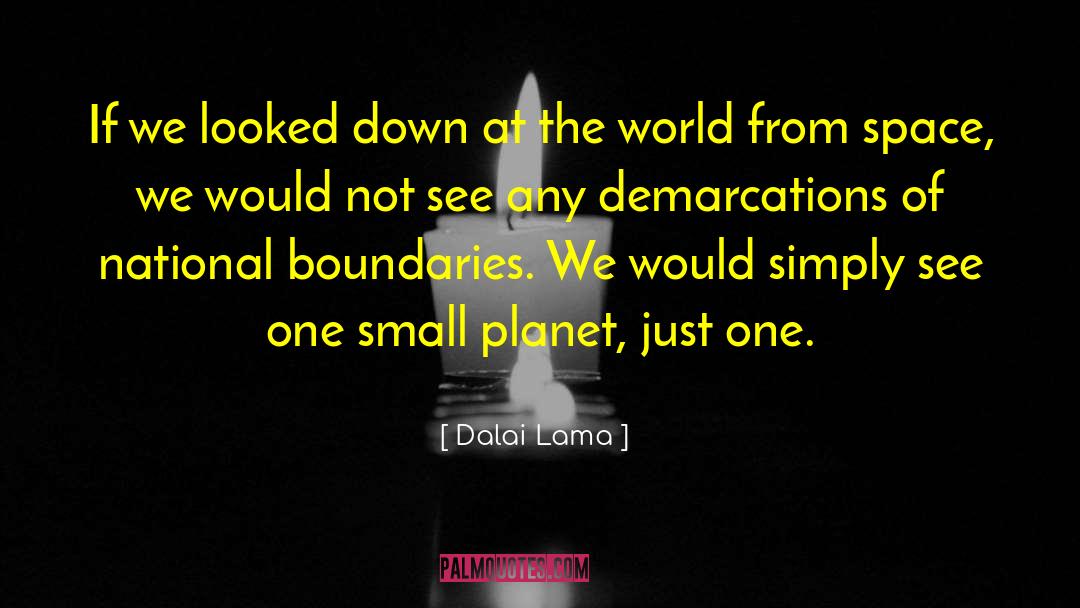 One Planet Earth quotes by Dalai Lama