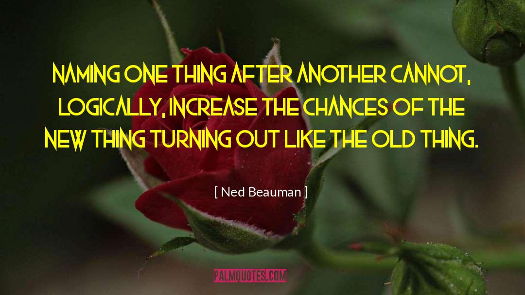 One Thing After Another quotes by Ned Beauman