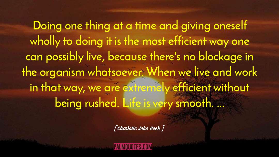 One Thing At A Time quotes by Charlotte Joko Beck