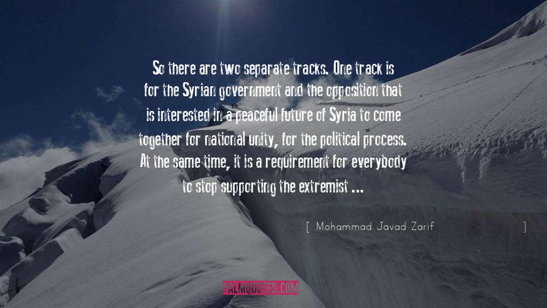 One Track Mind quotes by Mohammad Javad Zarif