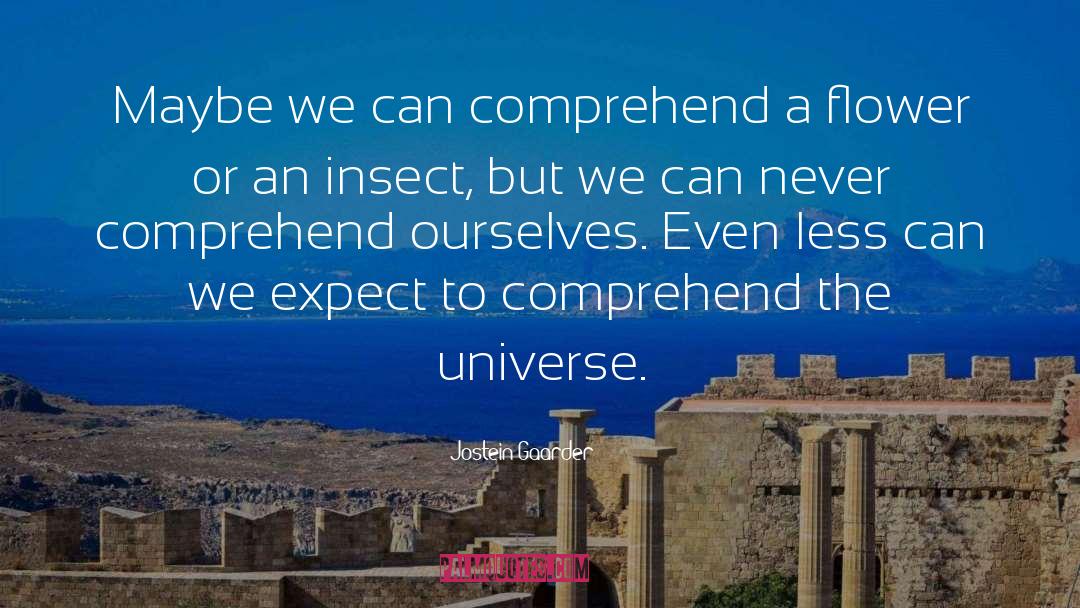 One Universe quotes by Jostein Gaarder