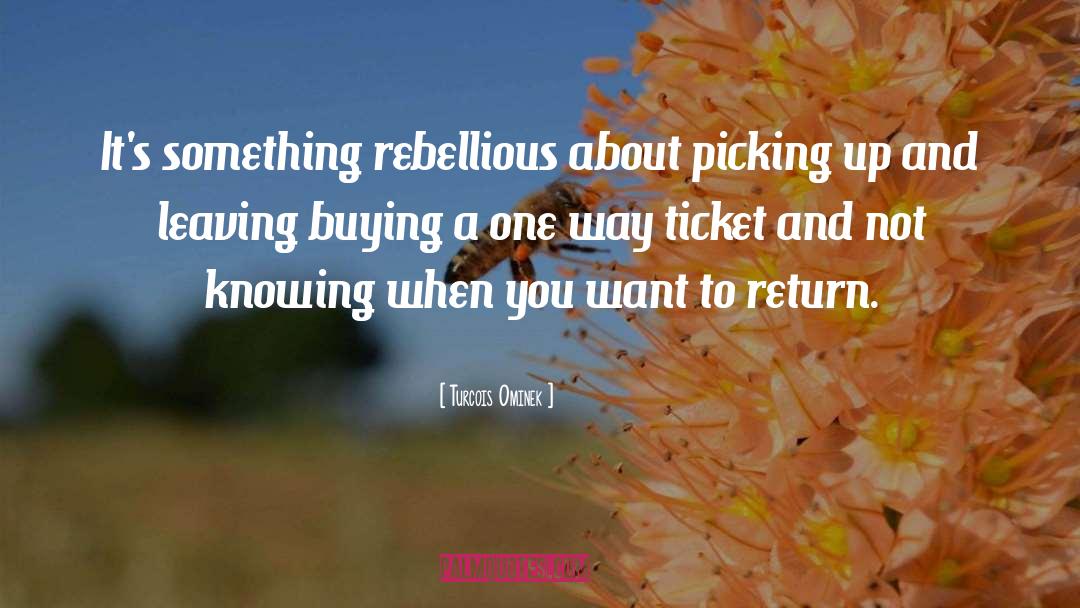 One Way Ticket quotes by Turcois Ominek