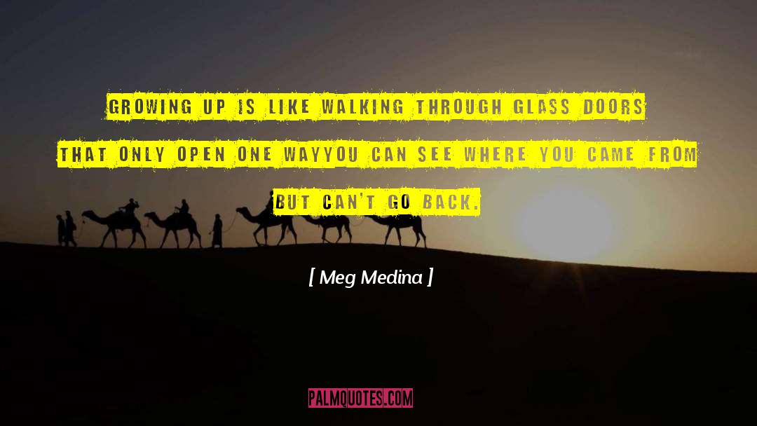 One Way Ticket quotes by Meg Medina