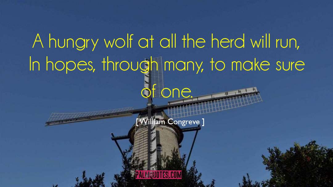 One Wolf quotes by William Congreve