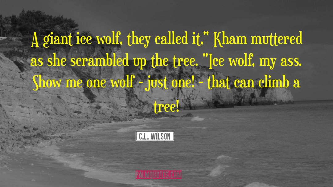 One Wolf quotes by C.L. Wilson